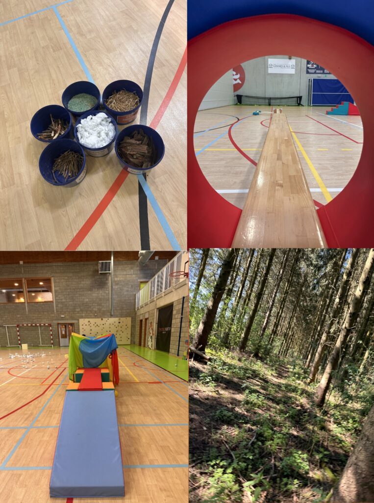 Enfants en mouvement lors d’une séance de psychomotricité : grimper, glisser, sauter pour favoriser leur développement psychocorporel.